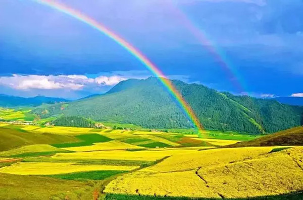 青海,嘉宾与观众共襄盛举