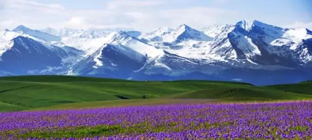 新疆,友情与家的温暖甜蜜日常