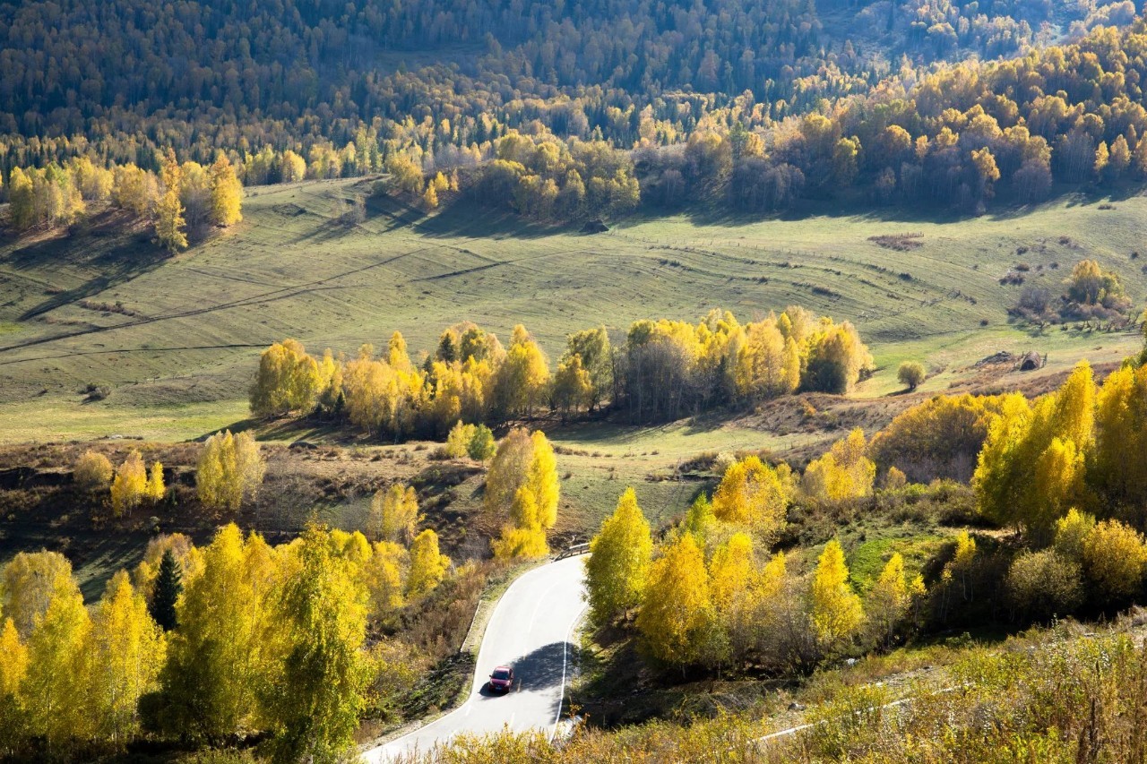 新疆,心中永恒的美丽画卷🌄🌸