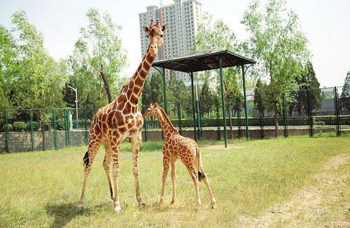 太原,千年古都的现代化交响曲