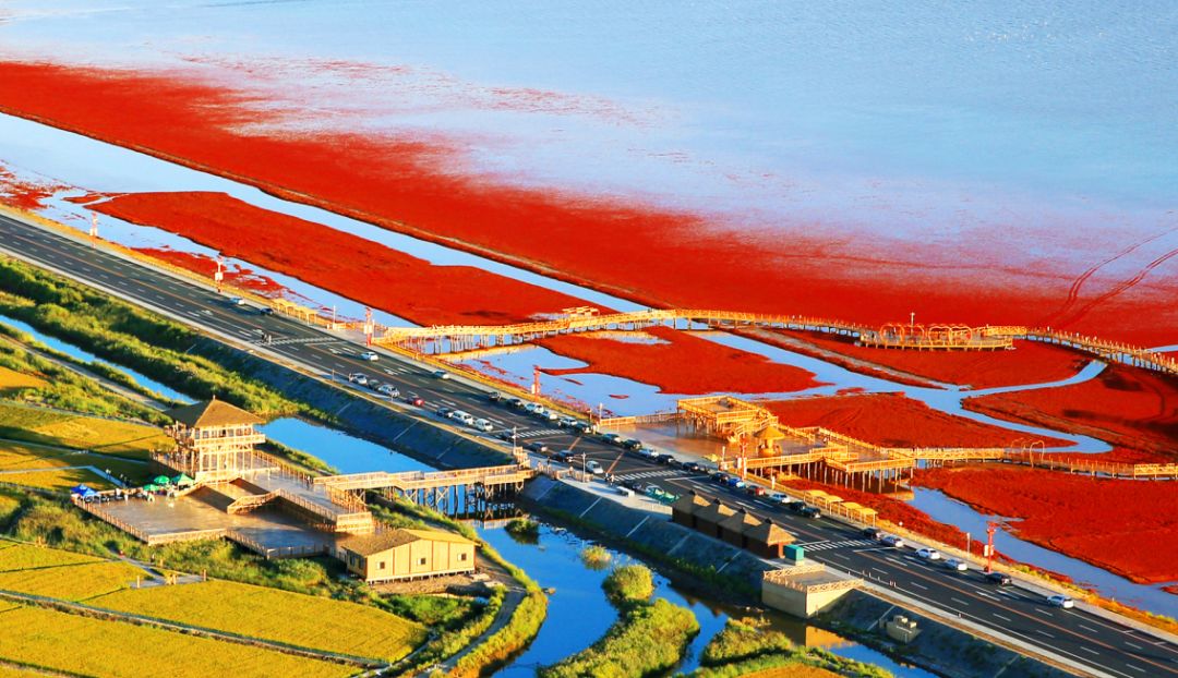 盘锦,城市与梦想的励志之旅